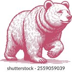 Hand Drawn Bear Illustration Set