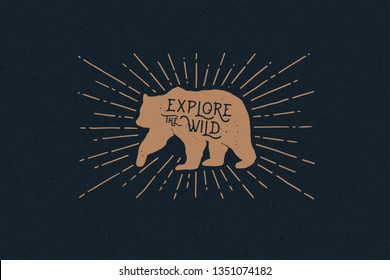 Hand drawn bear with an inscription explore the wild nature in the rays of light. Vintage label on the theme of the study of wildlife. Monochrome style. Vector illustration on dark background.