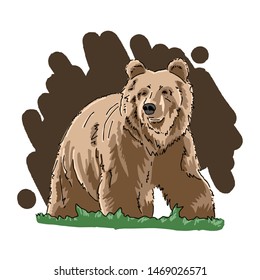 Hand drawn bear logo, vector illustration