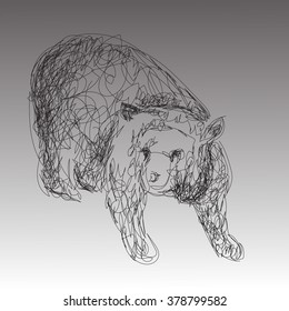 hand drawn bear on a gray background