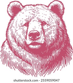Hand Drawn Bear Sketch Vector