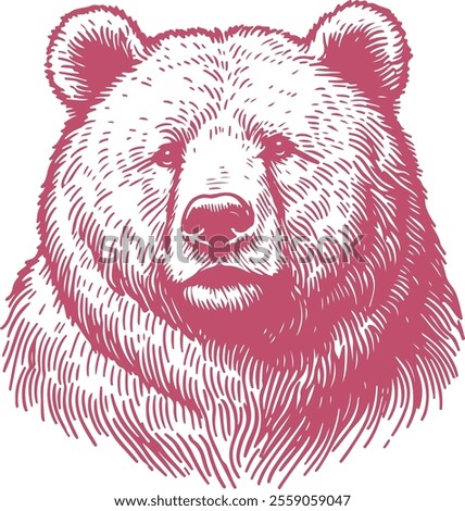 Hand Drawn Bear Sketch Vector