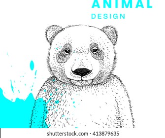 Hand Drawn Bear. Vector Graphic Illustration.