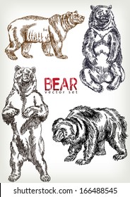 Hand Drawn Bear Vector Set