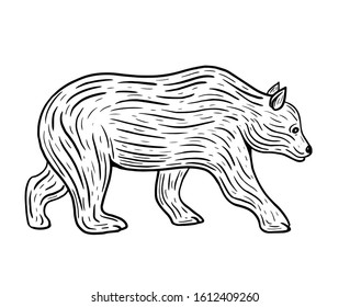 hand drawn bear walking isolated vector illustration