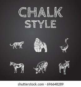 Hand Drawn Beast Sketches Set. Collection Of Monkey, Swine, Jackass And Other Sketch Elements.