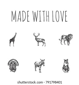 Hand Drawn Beast Sketches Set. Collection Of Pussycat, Jackass, Moose And Other Sketch Elements.