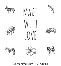 Hand Drawn Beast Sketches Set. Collection Of Hippopotamus, Swine, Lizard And Other Sketch Elements.