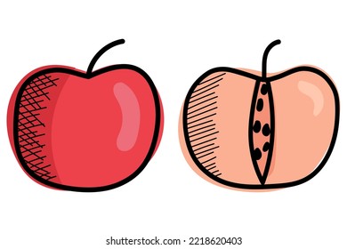 A hand drawn beautiful apple. Good for any project.