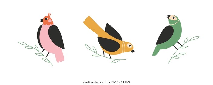 Hand drawn beautiful birds set. Colorful bird sitting on a tree branch.