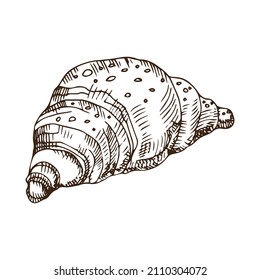Ilustración del vector croissant por mano