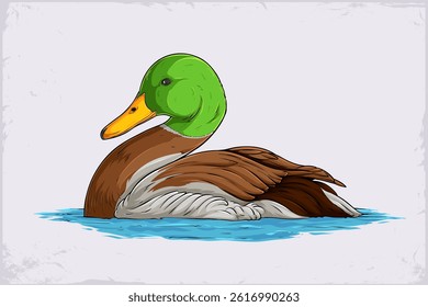 Hand drawn beautiful duck swimming in water. green and brown aquatic bird floating on lake water isolated on white background