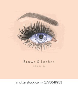 Hand drawn beautiful female eye with long black eyelashes and brows
