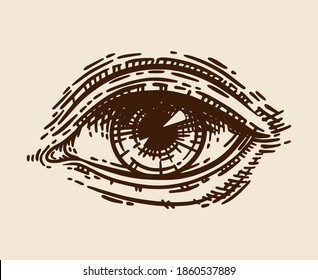 Hand drawn beautiful female eye in vintage engraving style. Retro antique detailed vector illustration isolated