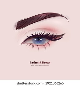 Hand drawn beautiful female eye with long black eyelashes and brows. Vector illustration