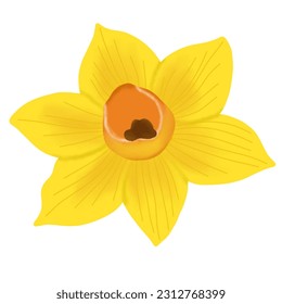 hand drawn beautiful flower illustration