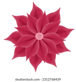 hand drawn beautiful flower illustration