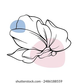 Hand drawn beautiful flower on white background 5