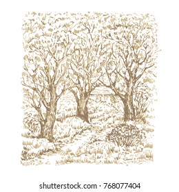 Hand drawn beautiful garden with trees. Sketch, vector illustration.