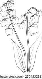 Hand drawn beautiful ilily of the valley flower bouquets, iris flower line drawing. lily of the valley vector art, lily of the flower drawing