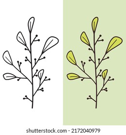 hand drawn beautiful leaf plant illustration, editable vector file for all your graphic needs.