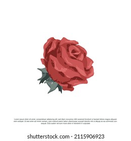 Hand drawn beautiful rose vector illustration