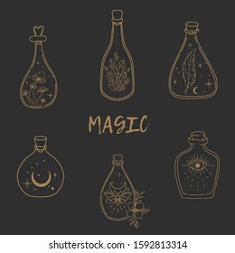 Hand drawn beautiful set of a magic bottles. Alchemy, spirituality, occultism, tattoo art, coloring books. Isolated vector illustration.