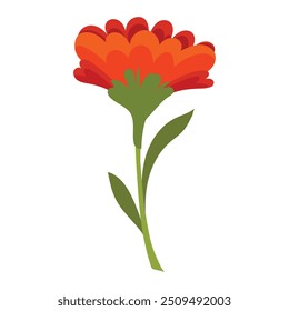 Hand drawn Beautiful spring flower on white background