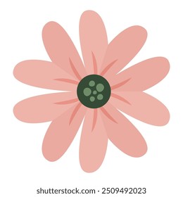 Hand drawn Beautiful spring flower on white background