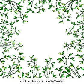 hand drawn beautiful spring and summer template with foliage and branches