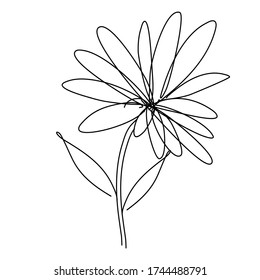 Hand drawn beautiful sunflower isolated in white background 