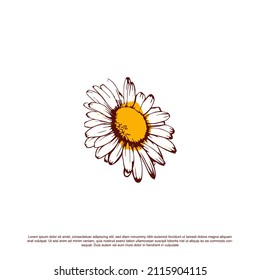 Hand drawn beautiful sunflower vector illustration