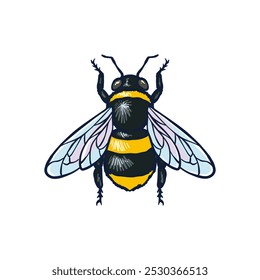 Hand drawn bee colored illustration