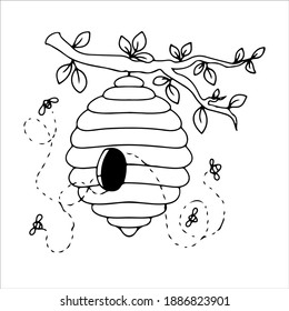 hand drawn bee hive in doodle style. natural bee honey. Vector illustration isolated on white background.