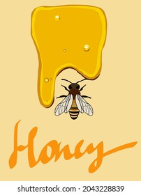 Hand drawn bee with honey, and a symbolic simplified image of a bee as a design element on a textured background. vector illustration with text honey