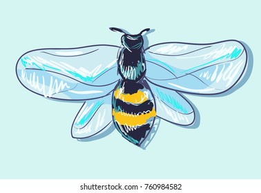 Hand Drawn Bee Vector Illustration