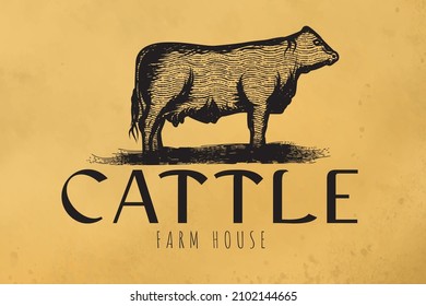hand drawn beef, cattle logo Designs Inspiration