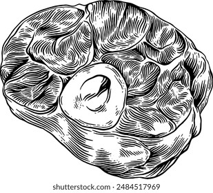 Dibujado a mano Beef Shank Sketch ilustración