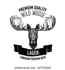 Hand drawn beer emblem with wild moose