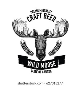 Hand drawn beer emblem with wild moose