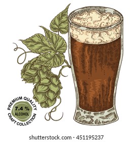 Hand drawn beer glass with hops plant. Alcohol drink sketch vector illustration