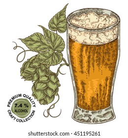 Hand drawn beer glass with hops plant. Alcohol drink sketch vector illustration