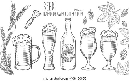 Hand Drawn Beer Glasses Set. Vector Illustration.