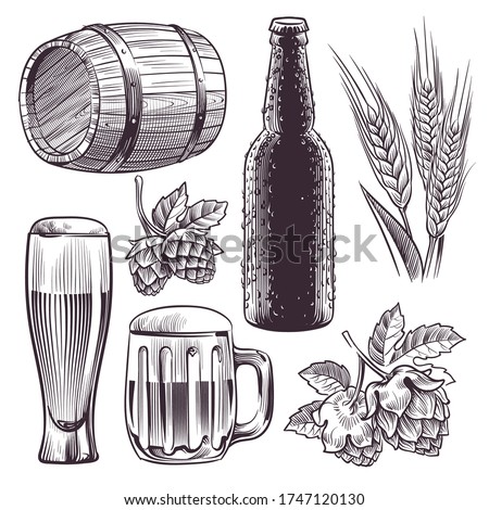 Hand drawn beer. Mug, barrel and beer glass and bottle, wheat or malt ears, hops. Vintage engraving sketch isolated vector brewing set