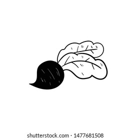 hand drawn beet doodle icon vector 