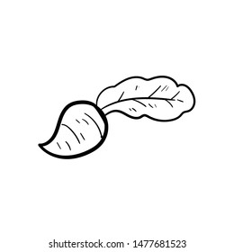  hand drawn beet doodle icon vector 