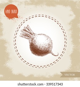 Hand drawn beet root . Sketch vintage vector illustration.