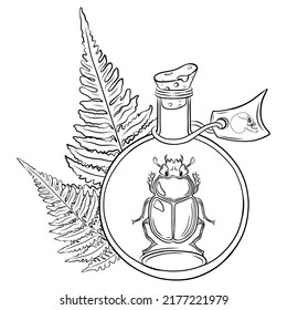 Hand drawn beetle in alchemy glass bottle with ferns and scull. Mystical magic creepy vector illustration on white background. Insects. Esoteric signs symbols. Spirituality. Tatoo. Animal spirit art