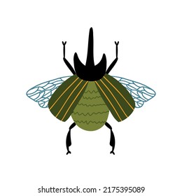 hand drawn beetle in flat style. children's illustration