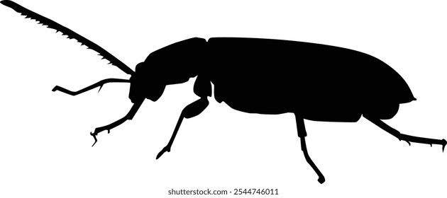 Hand drawn beetle insect full body silhouette illustration